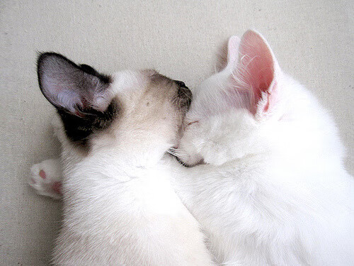 逆袭与接管，从塞内加尔翻盘韩国到帕尔默的德甲争冠时刻