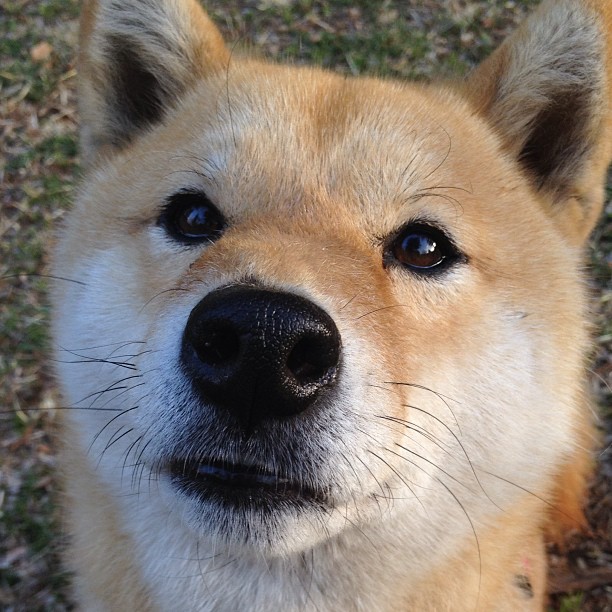 浙江风暴席卷绿茵场,美加墨世界杯焦点战,中国力量击败公牛神话