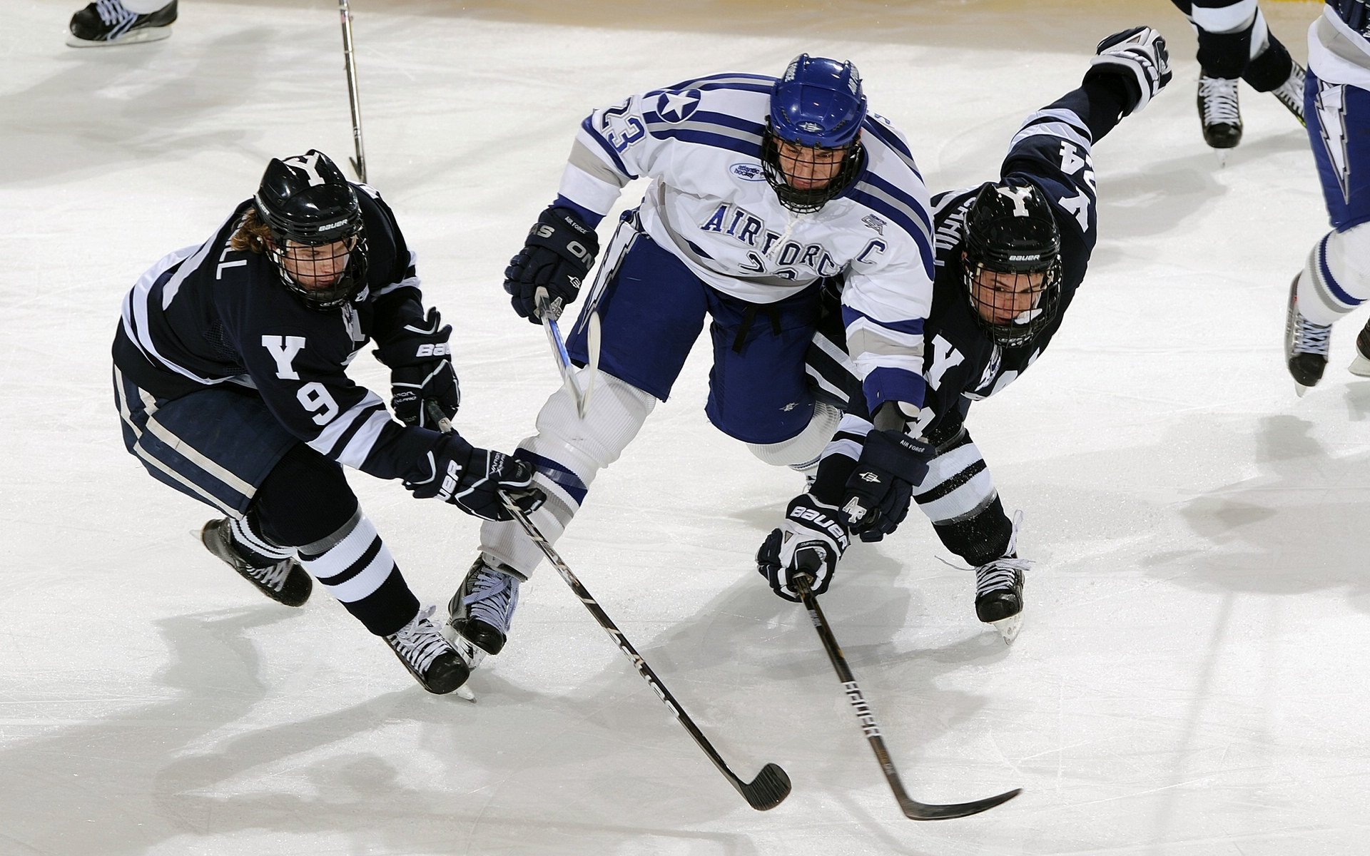 北境铁骑踏碎沙漠骄阳，猛龙军团如何正面击溃太阳，点燃美加墨世界杯焦点战